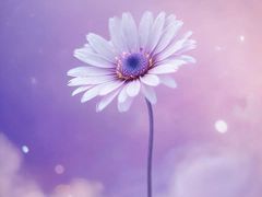 -山东省千佛山医院