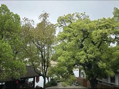 -楠溪江风景名胜区