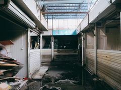 -万商花鸟市场