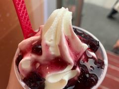 -蜜雪冰城(托乐嘉店)