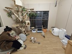 -唐小姐の私宠·宠物洗护美容·撸猫馆·购宠(周浦万达旗舰店)