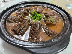 -丁老爷子苏香圆