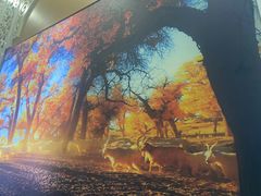 -清真·尚穆回回香清真餐厅(工人新村店)