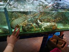-班赞海鲜市场