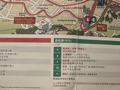 -Big Bus Tours 敞篷观光巴士