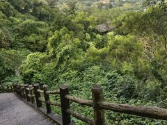 -海口火山口国家地质公园