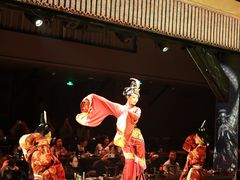 -上海市第六人民医院(临港院区)