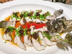 陈皮豆豉蒸老虎斑-虹潮荟·餐桌上的美食地理(太阳宫店)