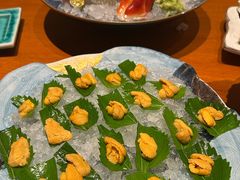 -月龍吟(朝龙汇店)