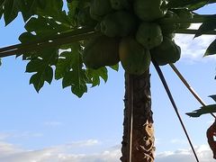 -金鸡山公园