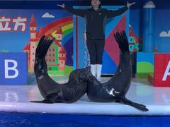 -成都浩海立方海洋公园