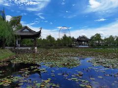 -无锡蠡湖国家湿地公园-蠡园