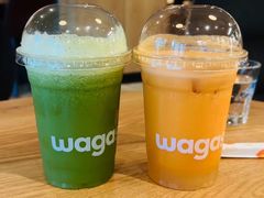 -Wagas沃歌斯(枫蓝国际店)
