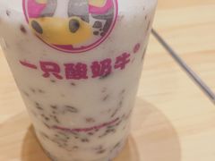 -一只酸奶牛(八一路店)
