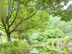 -九龙潭景区