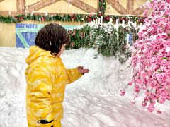 -广州热雪奇迹