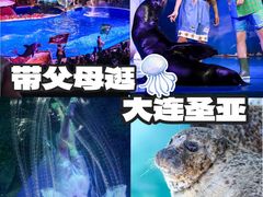 -大连圣亚海洋世界