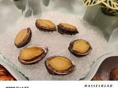 -广州万富希尔顿酒店-感趣自助餐厅·生蚝海鲜刺身