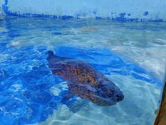 -太平洋海底世界