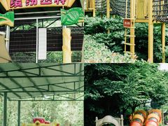 -杭州少年儿童公园
