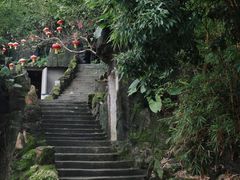-东莞市大岭山森林公园
