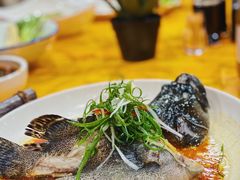 石斑鱼-渔家故事(北二环西路店)