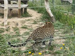 -鄂尔多斯野生动物园