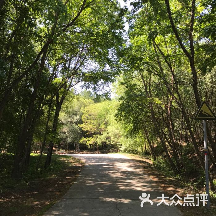 瀋陽國家森林公園