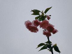 -火炉山森林公园