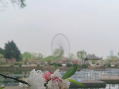 -无锡蠡湖国家湿地公园-蠡园
