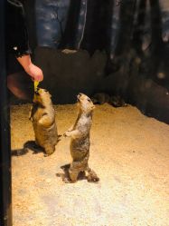 -酷嗒动物文化乐园(cutezoo西溪乐天城店)