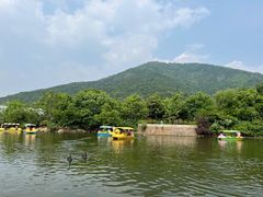-无锡动物园·太湖欢乐园