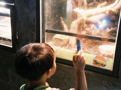 -深圳野生动物园