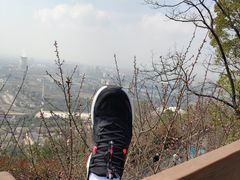 -杭州半山国家森林公园