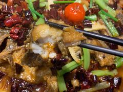 -老板恋上鱼(恒隆广场店)