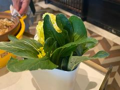 -润园四季椰子鸡火锅(海上世界店)