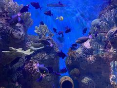 -多彩贵州城极地海洋世界