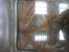-大勇海鲜(叙康里店)