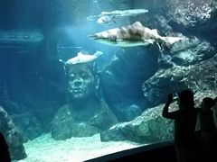 -暹罗海洋世界