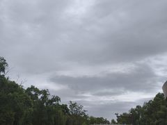 -同里国家湿地公园