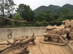 -西安秦岭野生动物园