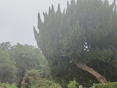 -云龙山