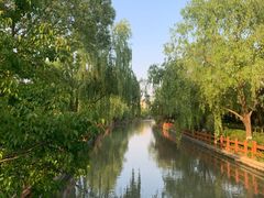-九科绿洲