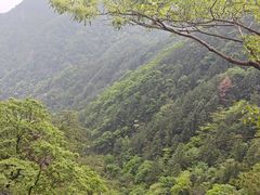 -明堂山风景区