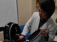 -芭比堂宠物医院·全科爱猫医院·仁德分院
