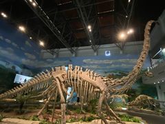 -自贡恐龙博物馆