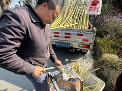 -三圣花乡旅游区