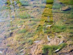 -沕沕水生态风景区