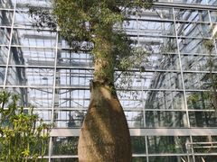 -南山植物园