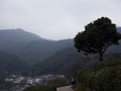 -龙井村
